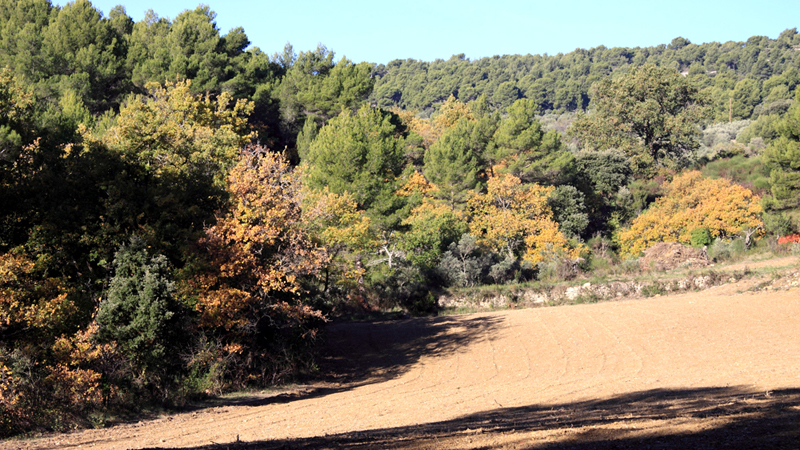 Le Barroux (en cours)