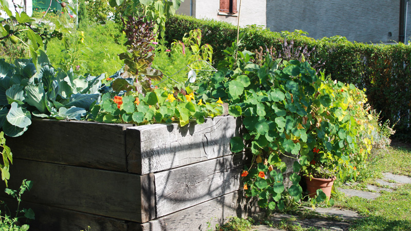 Un jardin à Montreux