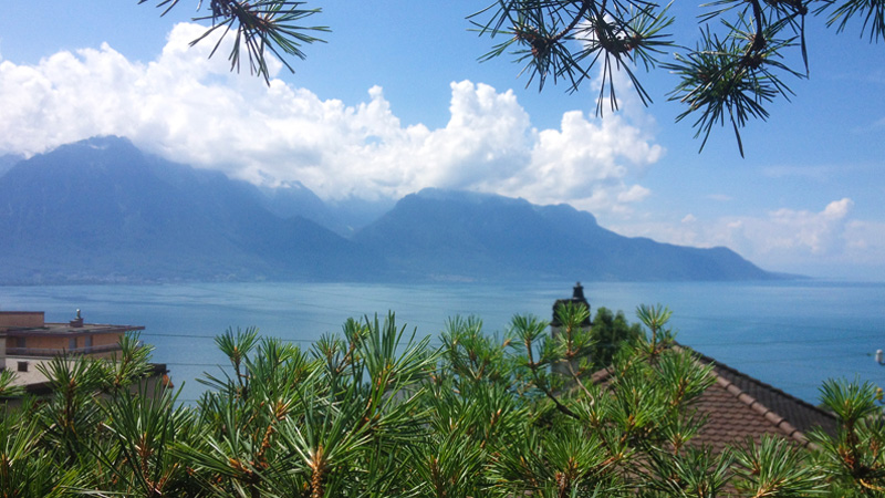 Un jardin à Montreux