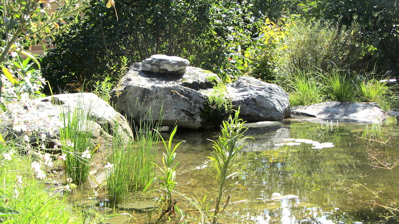 Un étang à St-Sulpice