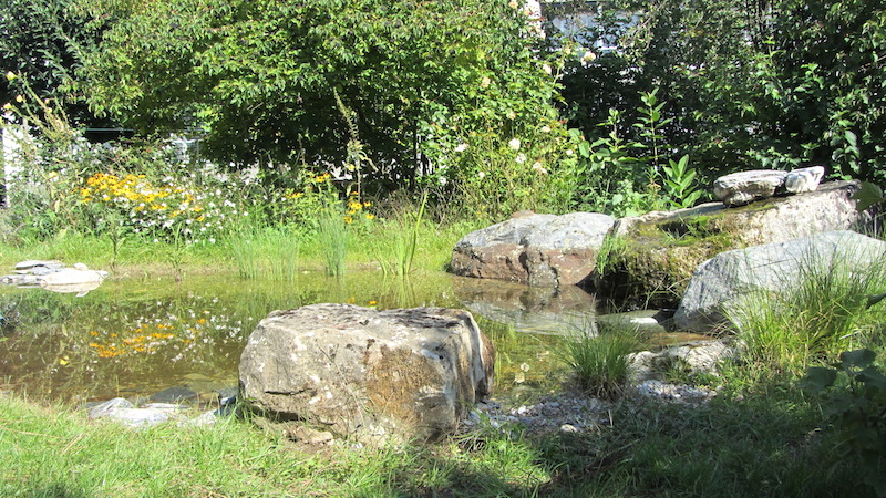 Un étang à St-Sulpice