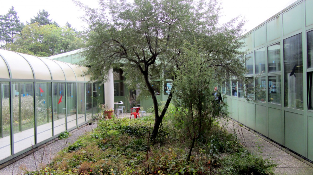 UNIL - Patio du Biophore