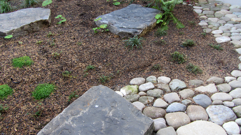 Jardin d'ombre à Pully