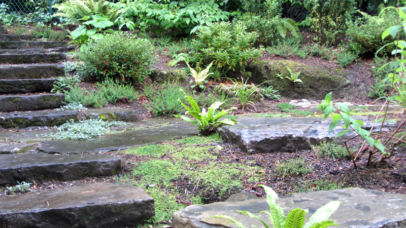 Jardin d'ombre à Pully