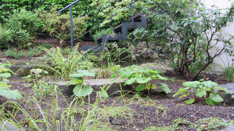 Jardin d'ombre à Pully