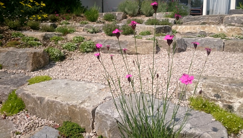 Le jardin de Madeleine