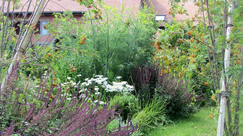 Le jardin du Borget