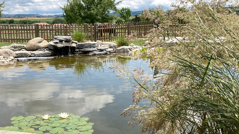 Le jardin du Borget